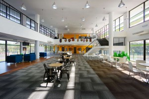 Library Interior